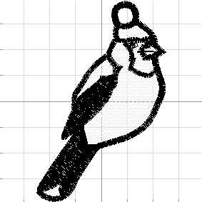 Birds7
