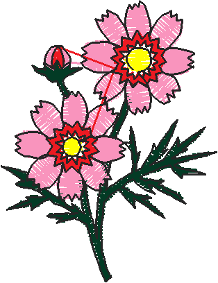 A&z5016