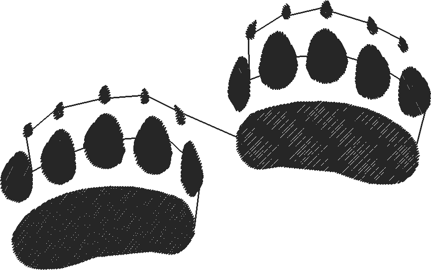 Beargeneric