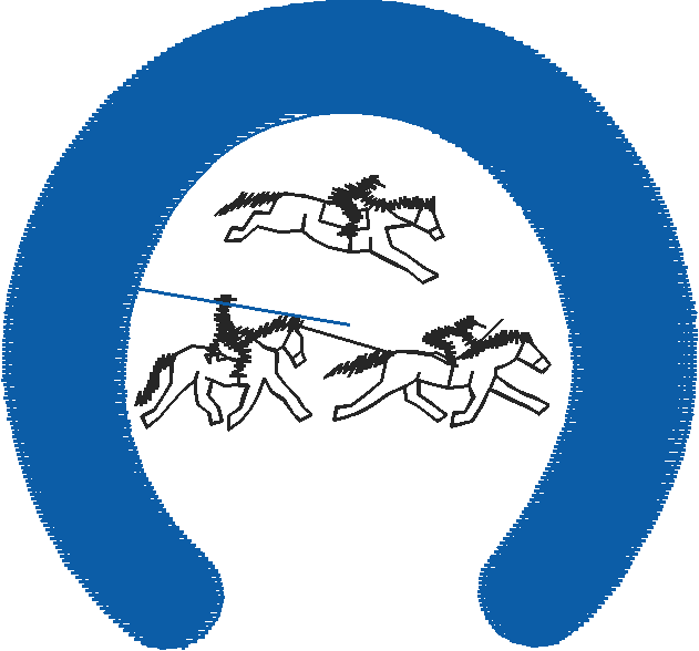 Animals 11   Horses  (72)
