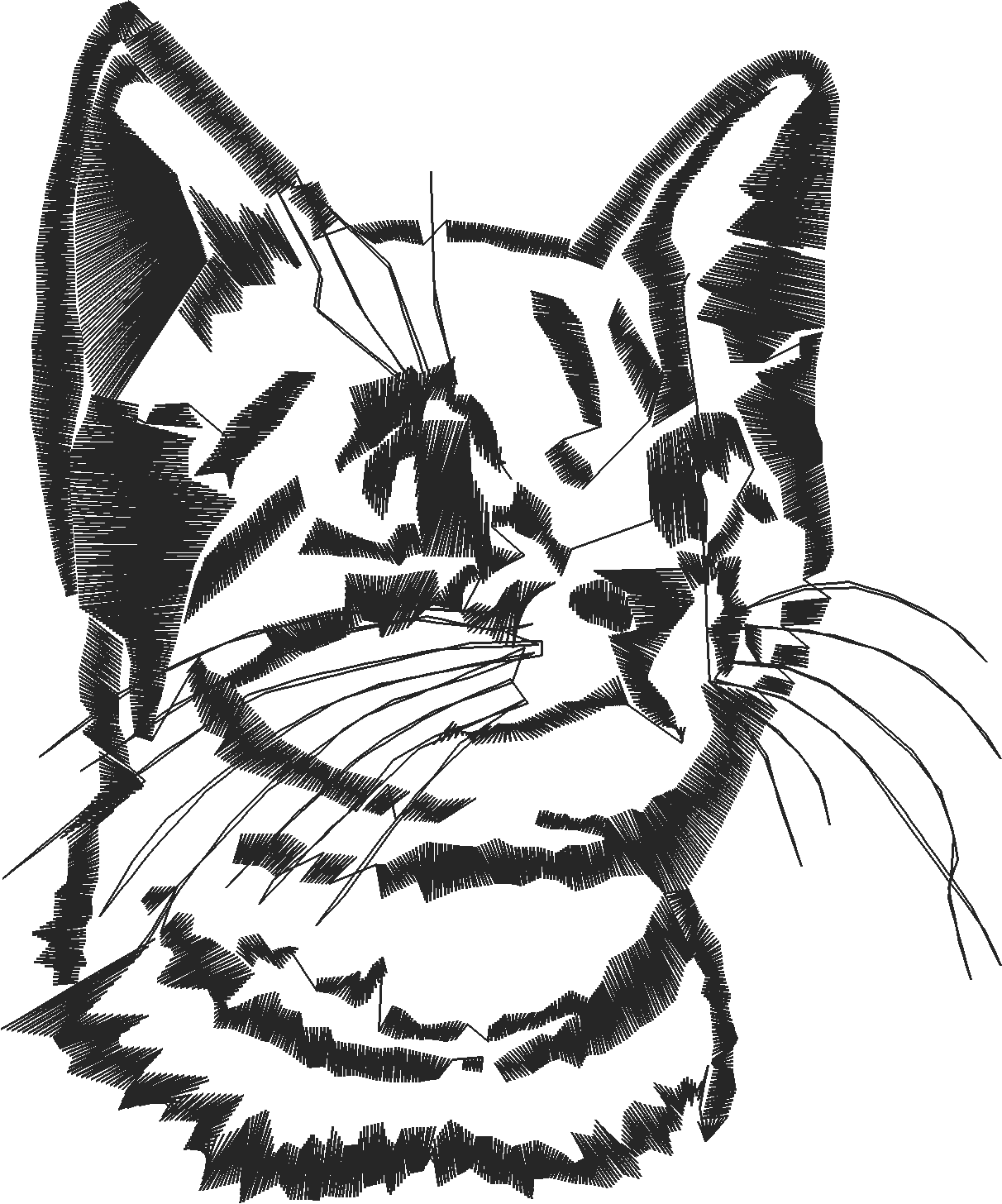 Animals 19   Mixed 2  (17)