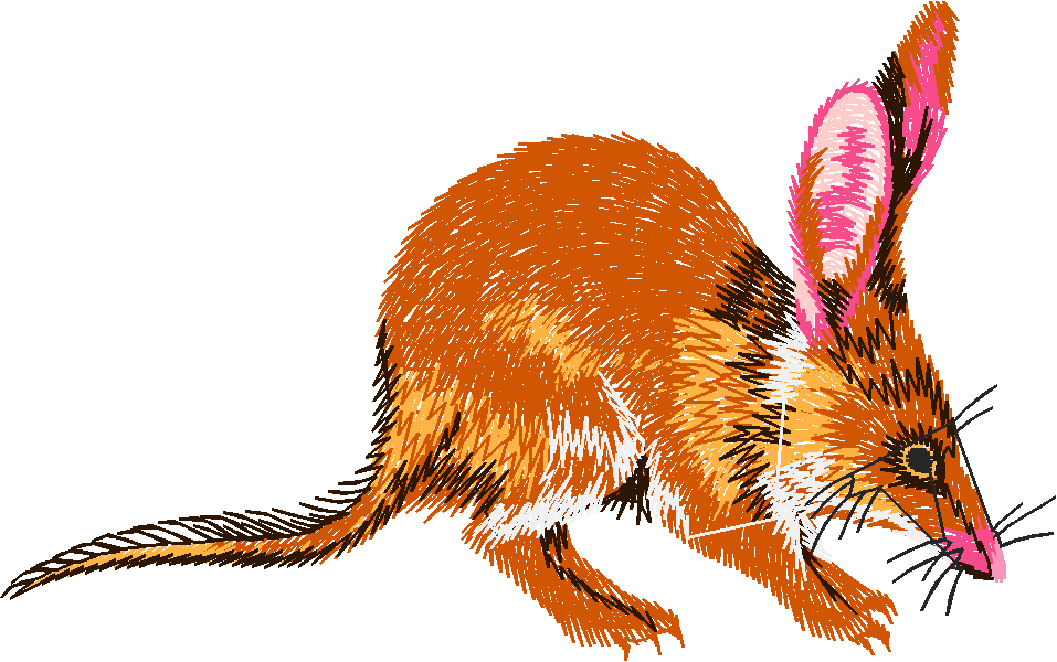 Animals 25   Wildlife 05  (14)