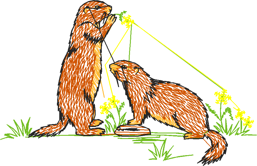 Animals 5 (23)