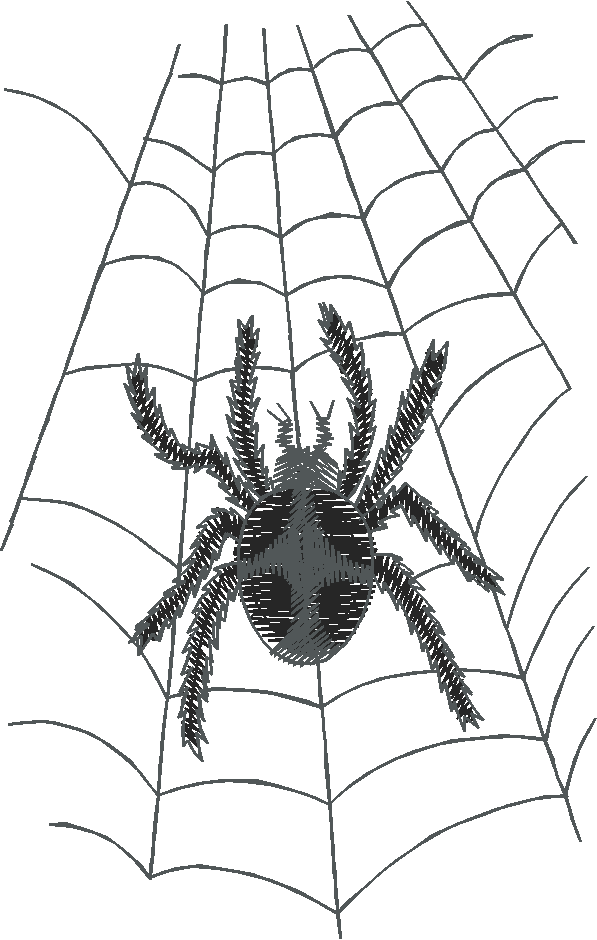 Animals 5 (24)