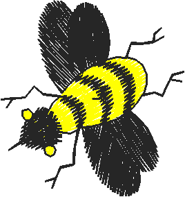 Animals 6 (23)