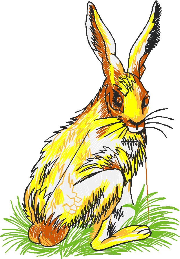 Animals 6 (8)