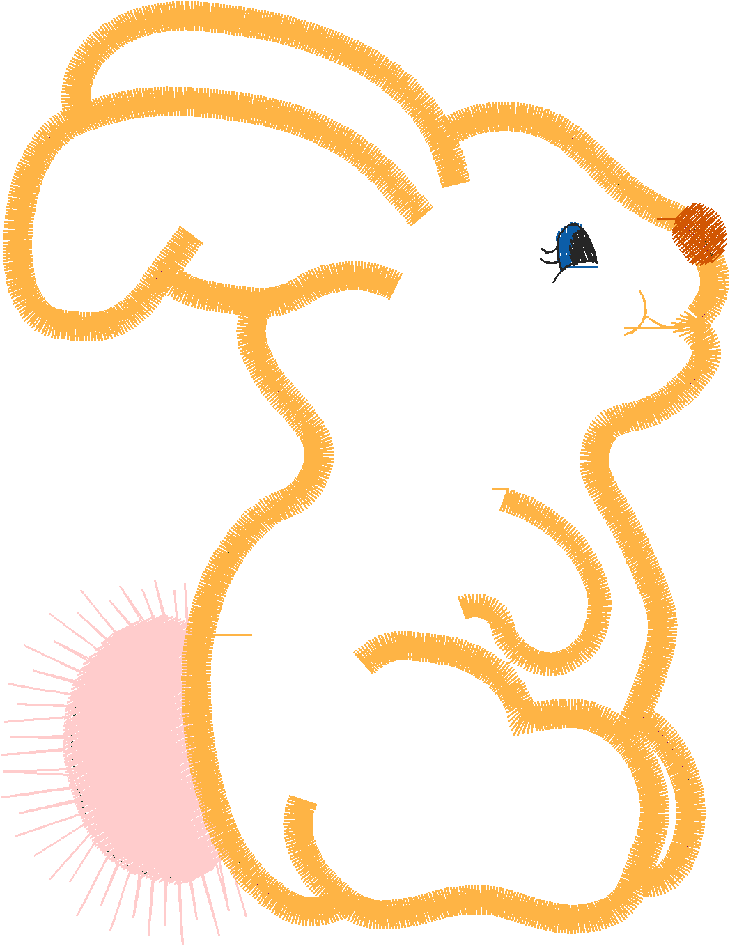 Bunnyprofile