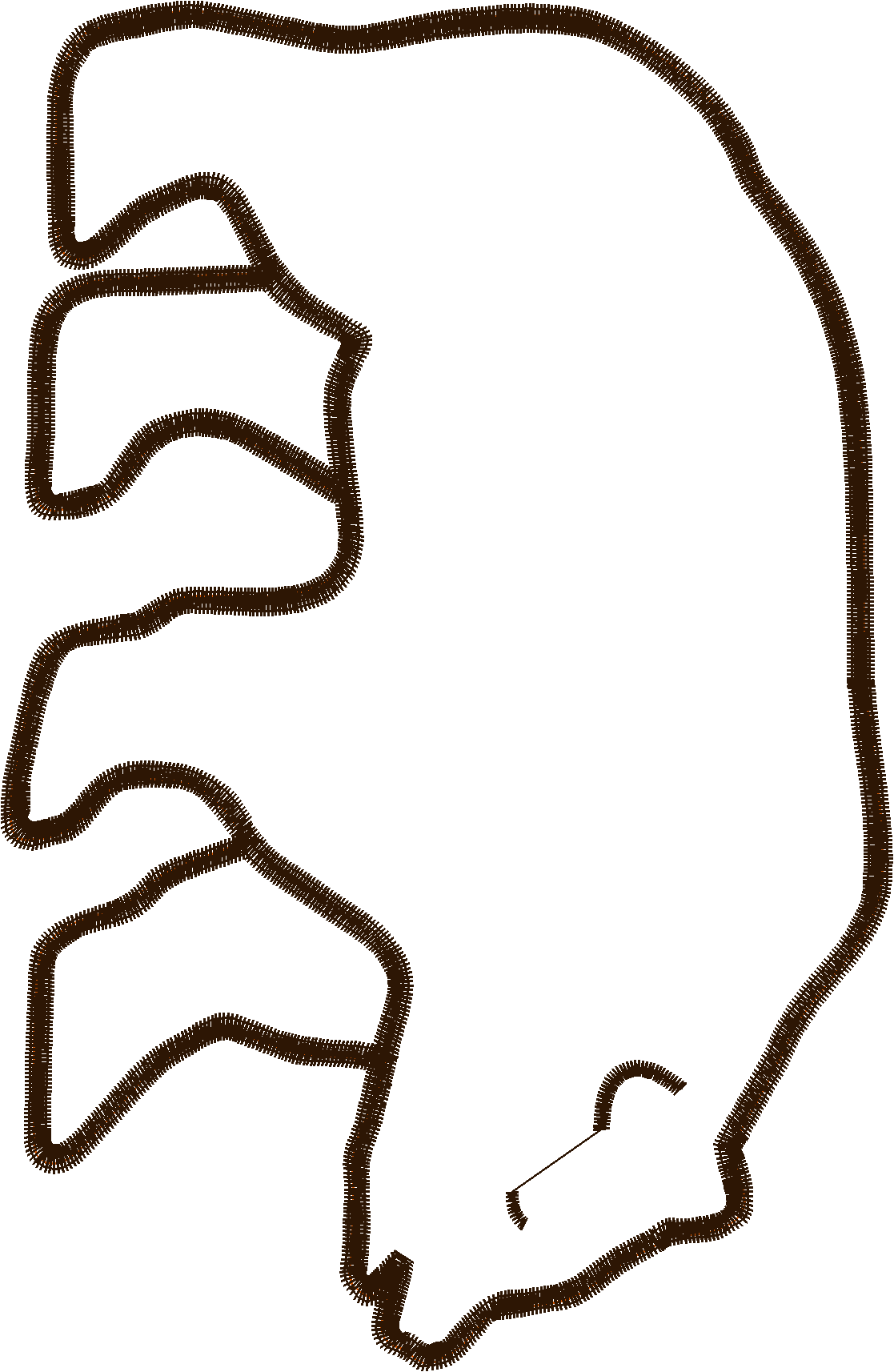 Braplg