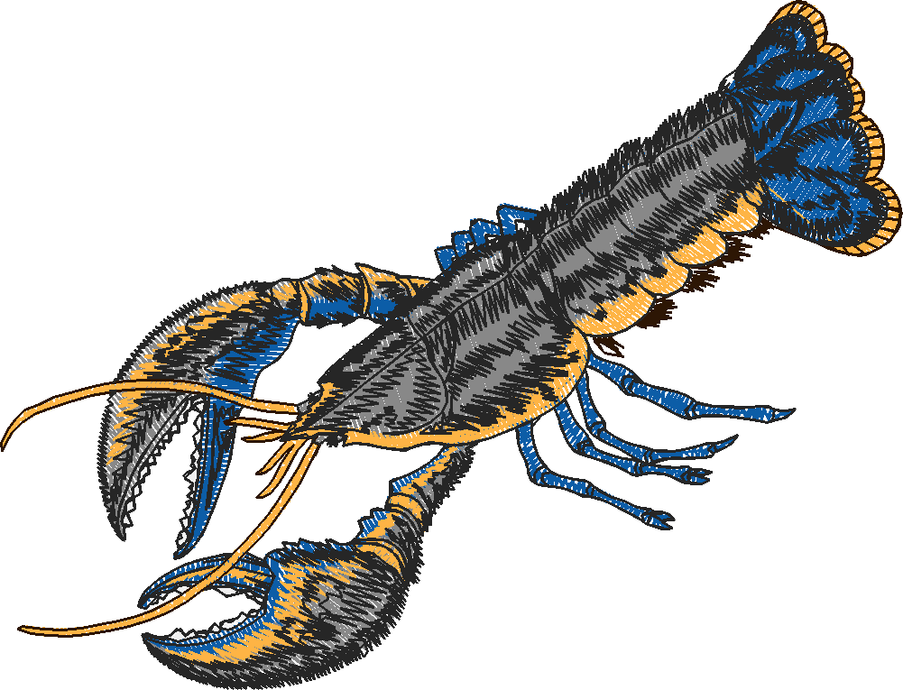 Aquatic 3  (14)