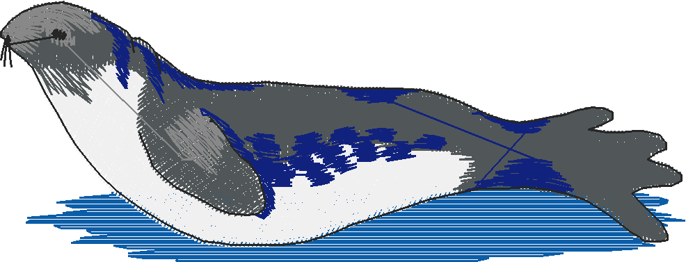 Artic 1  (4)