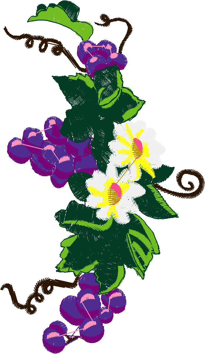 Daisies Gra