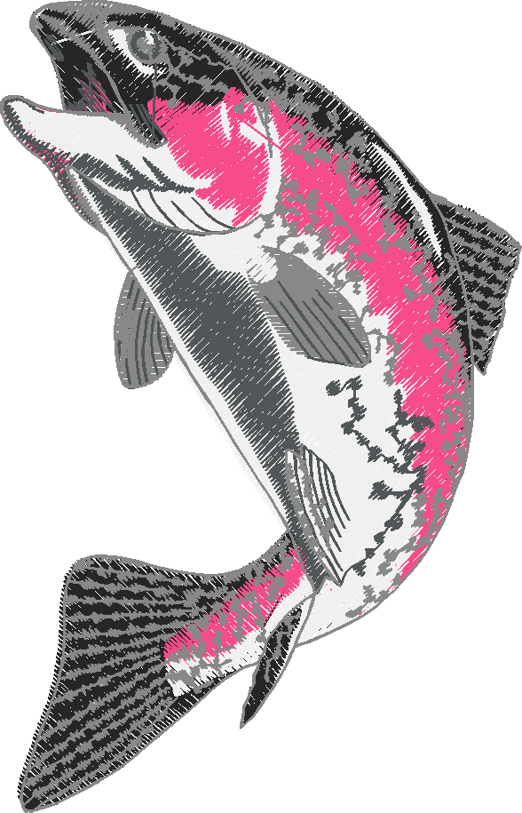 Vis2