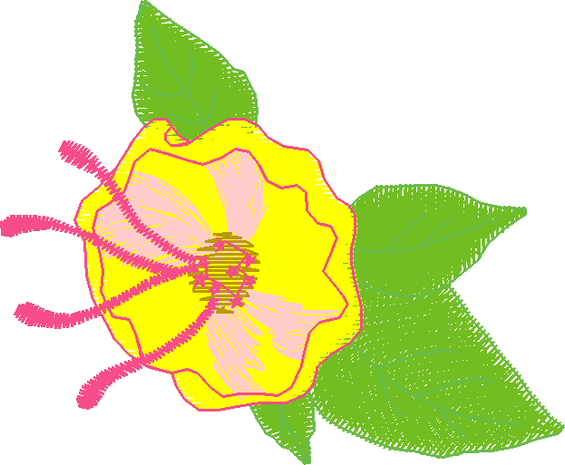 Card010