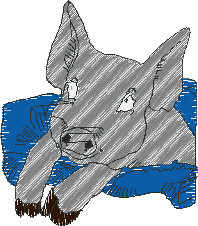Babypig