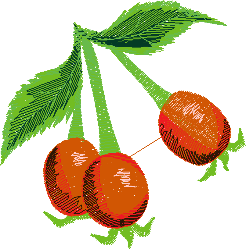 Berries 1 (10)