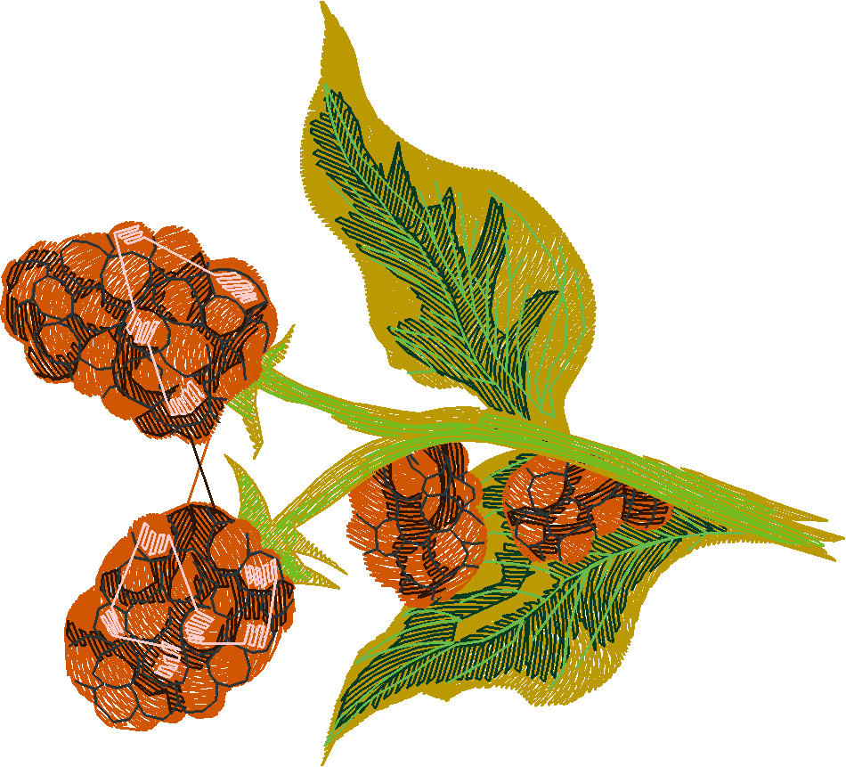 Berries 1 (17)