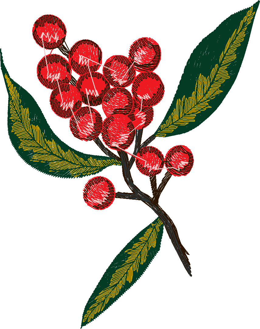 Berries 1 (8)
