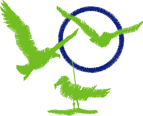 Birds 1 (100)