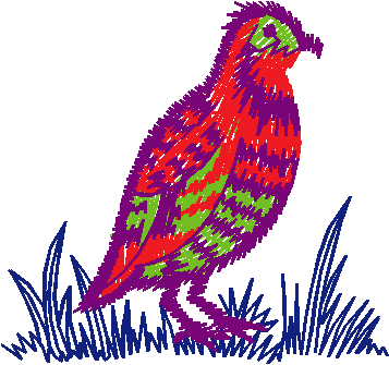 Birds 1 (108)
