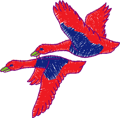 Birds 1 (18)