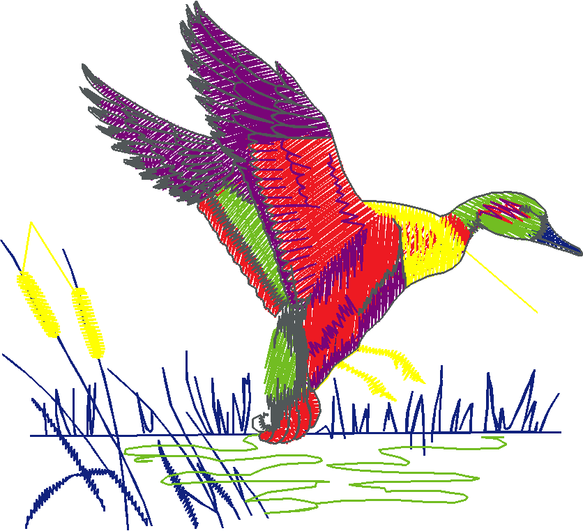 Birds 1 (54)