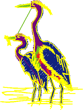 Birds 1 (77)