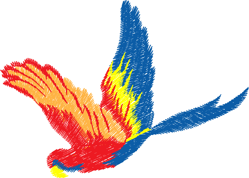 Birds 10 (20)