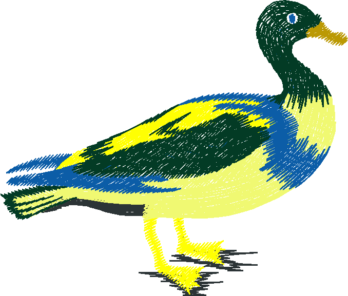 Birds 10 (3)