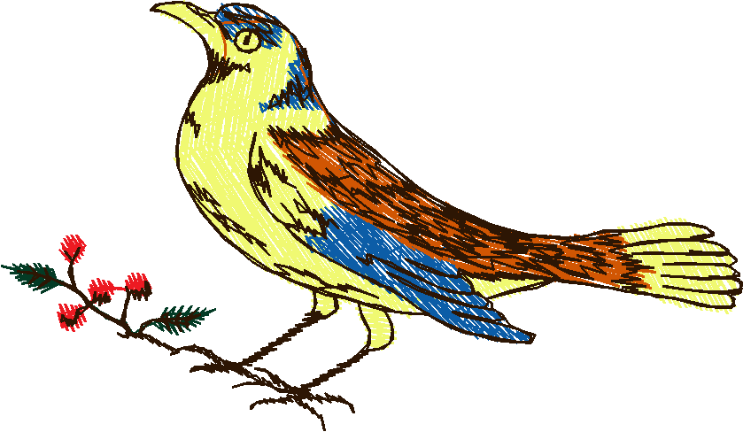 Birds 11 (17)