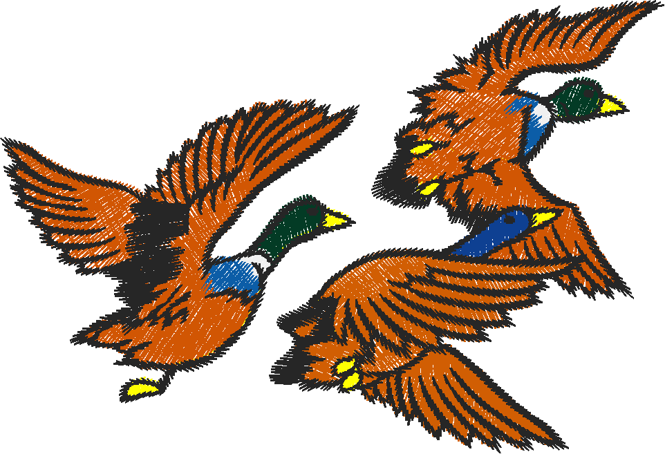 Birds 11 (2)
