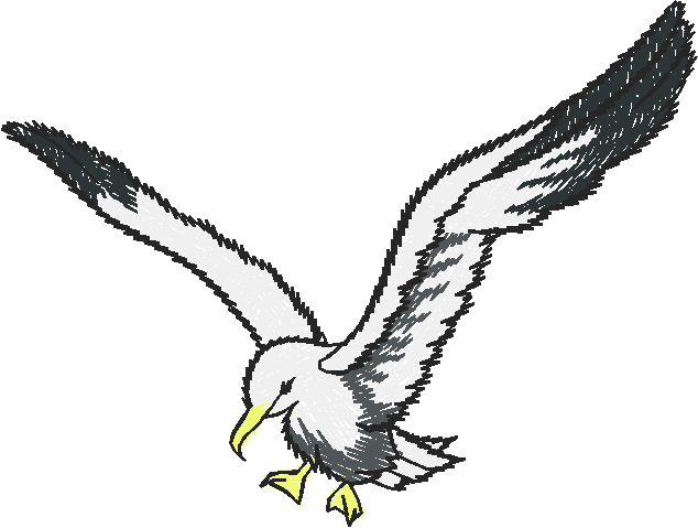Birds 11 (22)