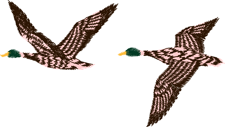 Birds 11 (7)