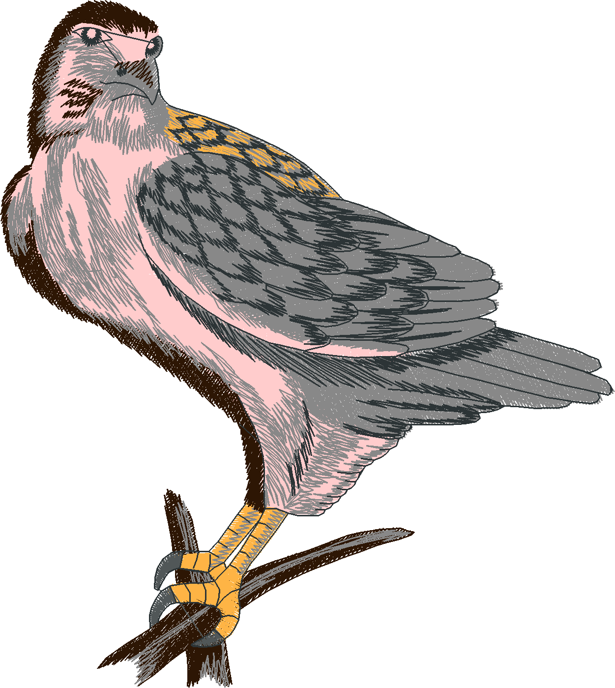 Birds 12 (1)