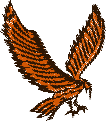 Birds 13 (11)