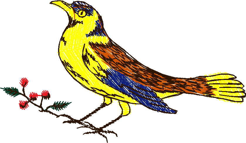 Birds 13 (17)