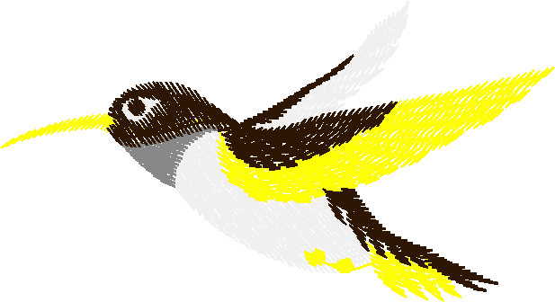 Birds 13 (19)