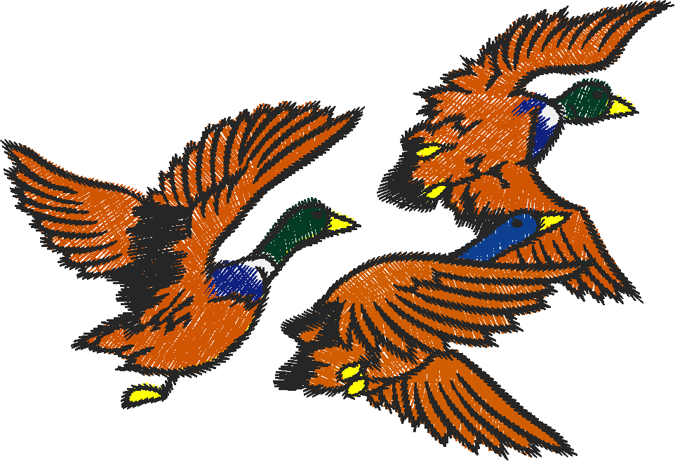 Birds 13 (2)