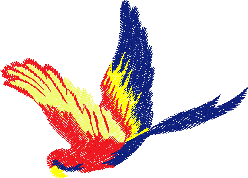 Birds 13 (20)