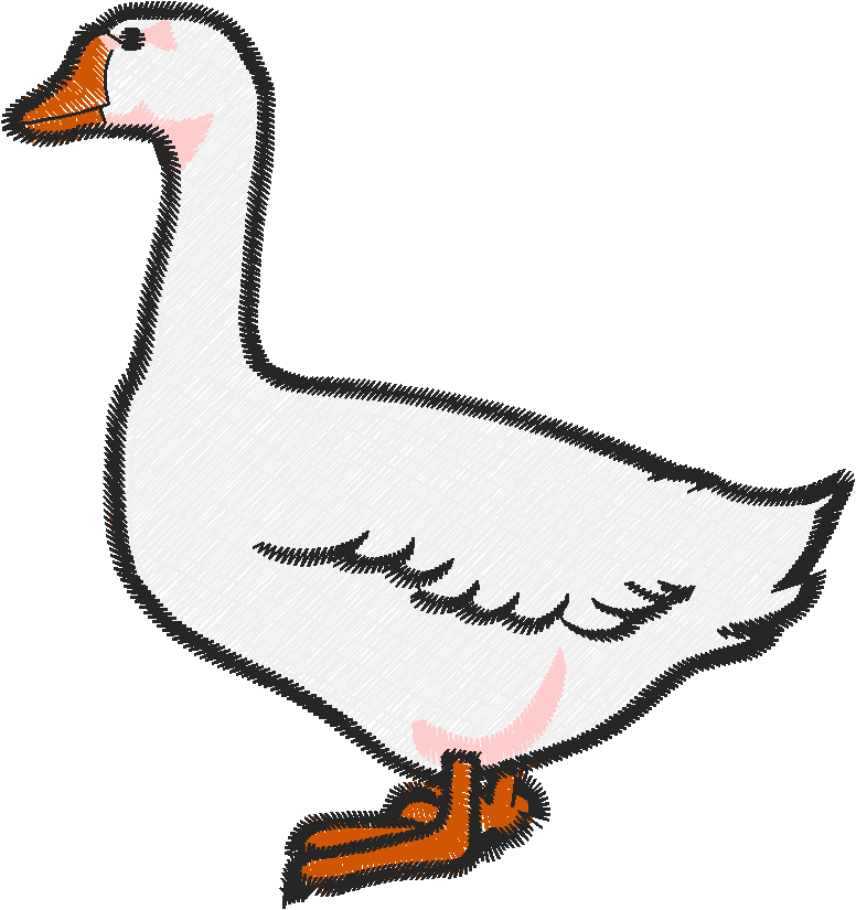 Birds 13 (25)