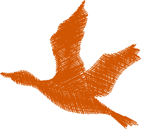 Birds 13 (8)