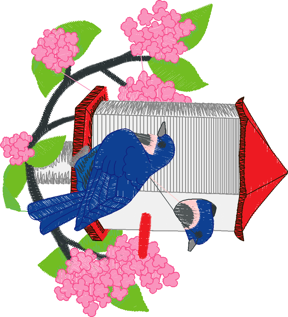 Birds 15 (8)