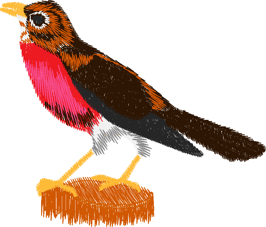Birds 17 (13)