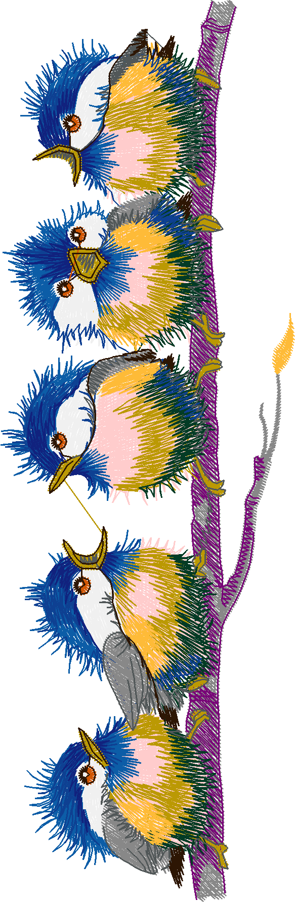 Birds 19 (12)