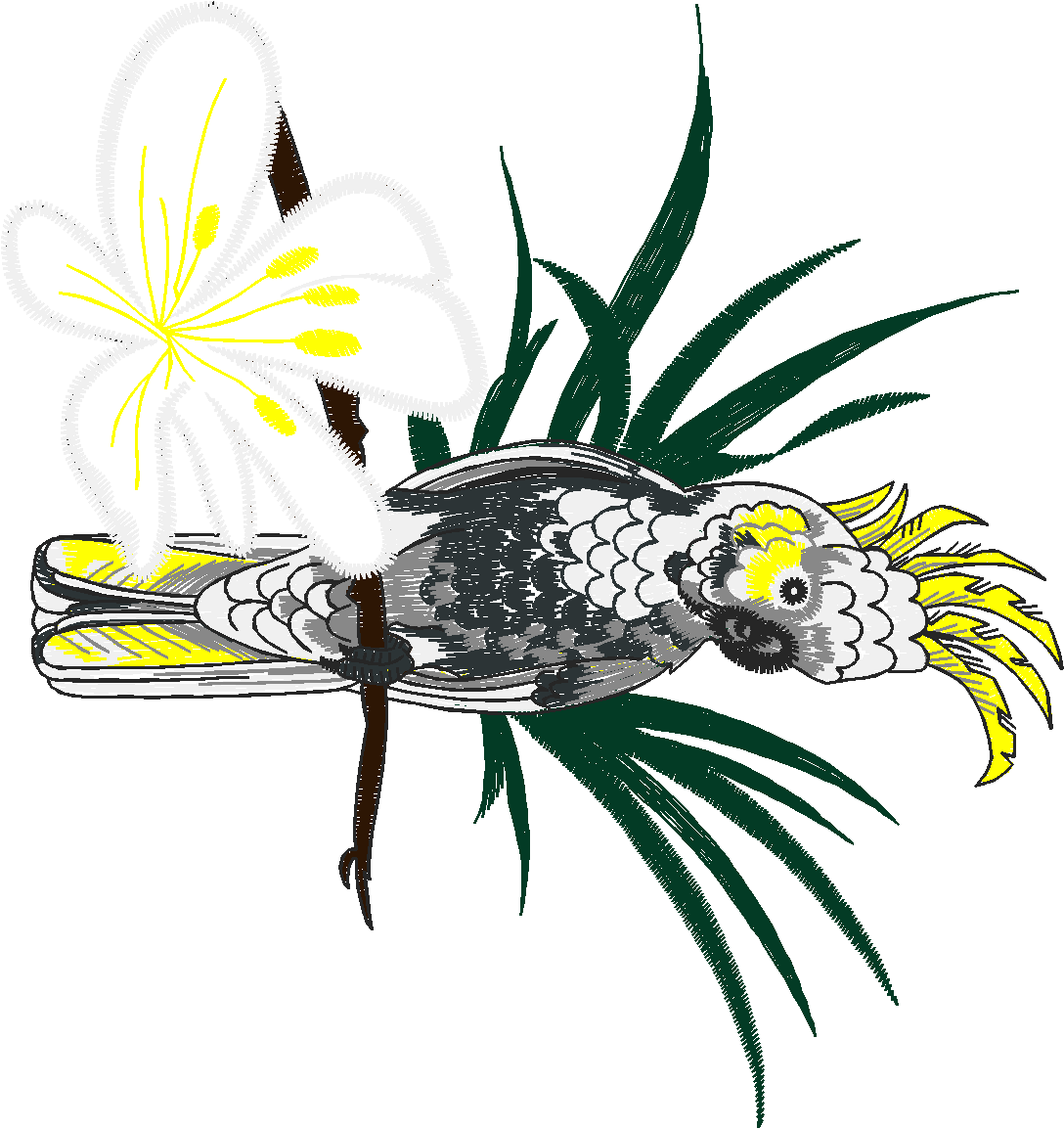 Birds 19 (17)