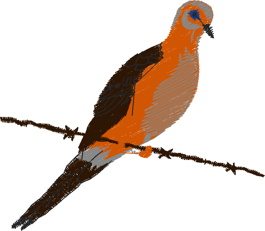 Birds 19 (38)