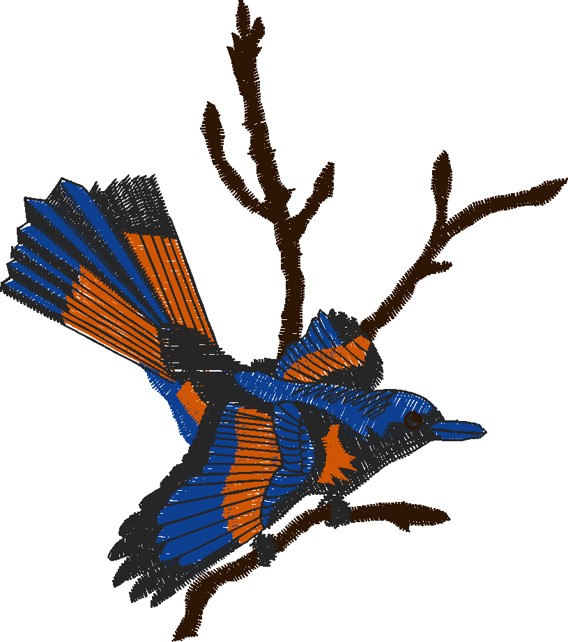 Birds 19 (43)