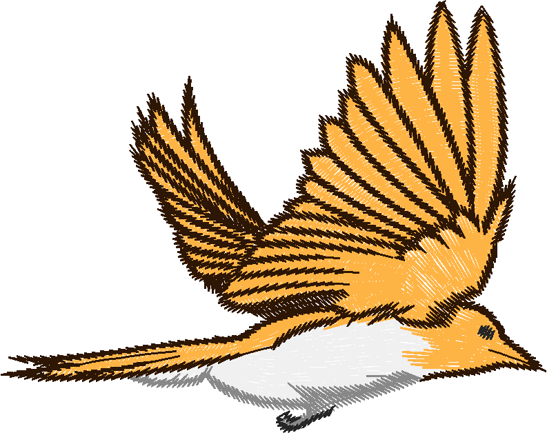 Birds 19 (56)