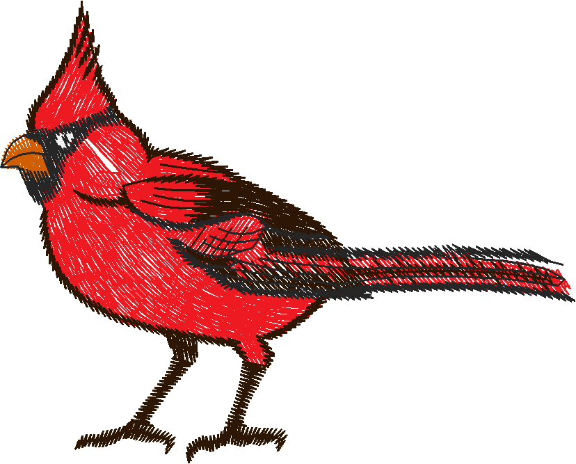 Birds 19 (57)