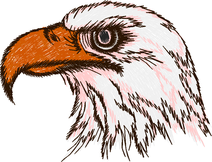 Birds 19 (73)