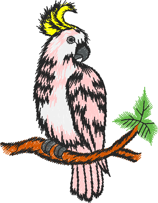 Birds 19 (81)